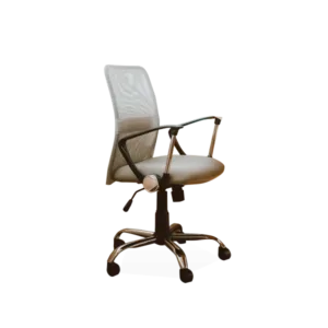 working chair with armrest